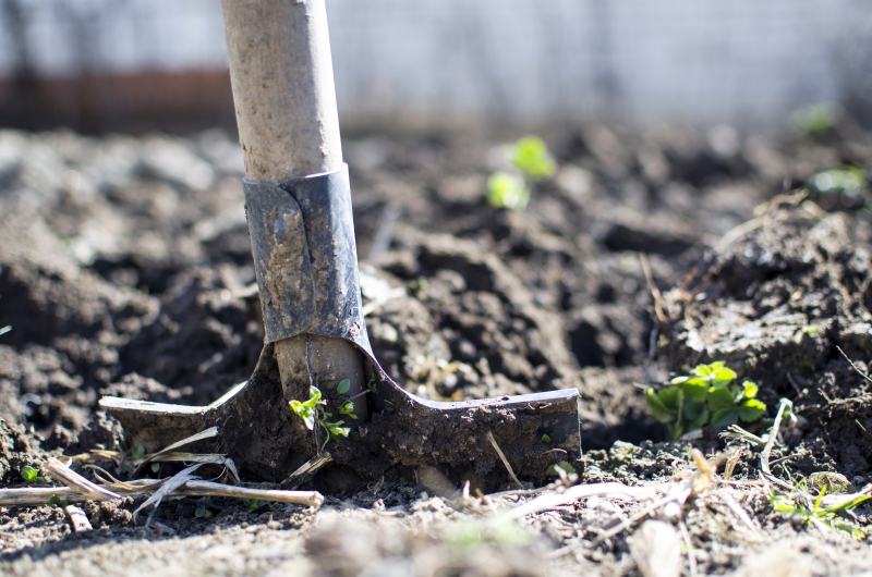 jardinerie-LA ROQUE ESCLAPON-min_equipment-2047314